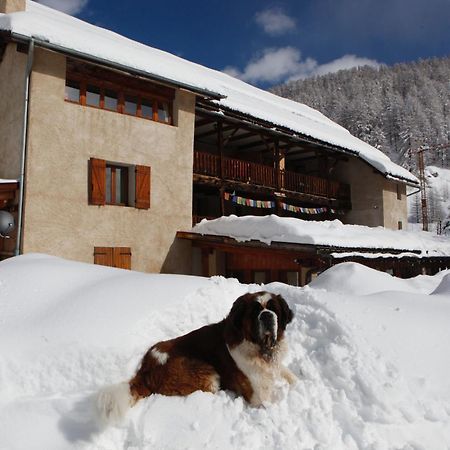 Le Chalet Viso Arvieux Bagian luar foto