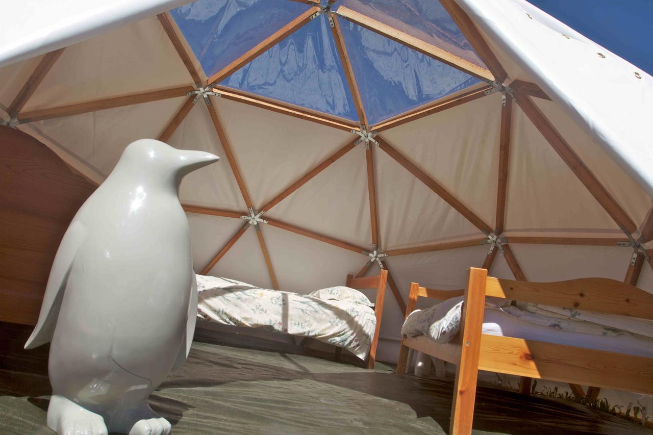 Le Chalet Viso Arvieux Bagian luar foto